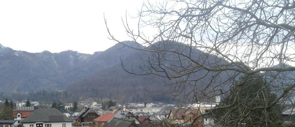 Liuis Villa Bad Ischl Exterior photo